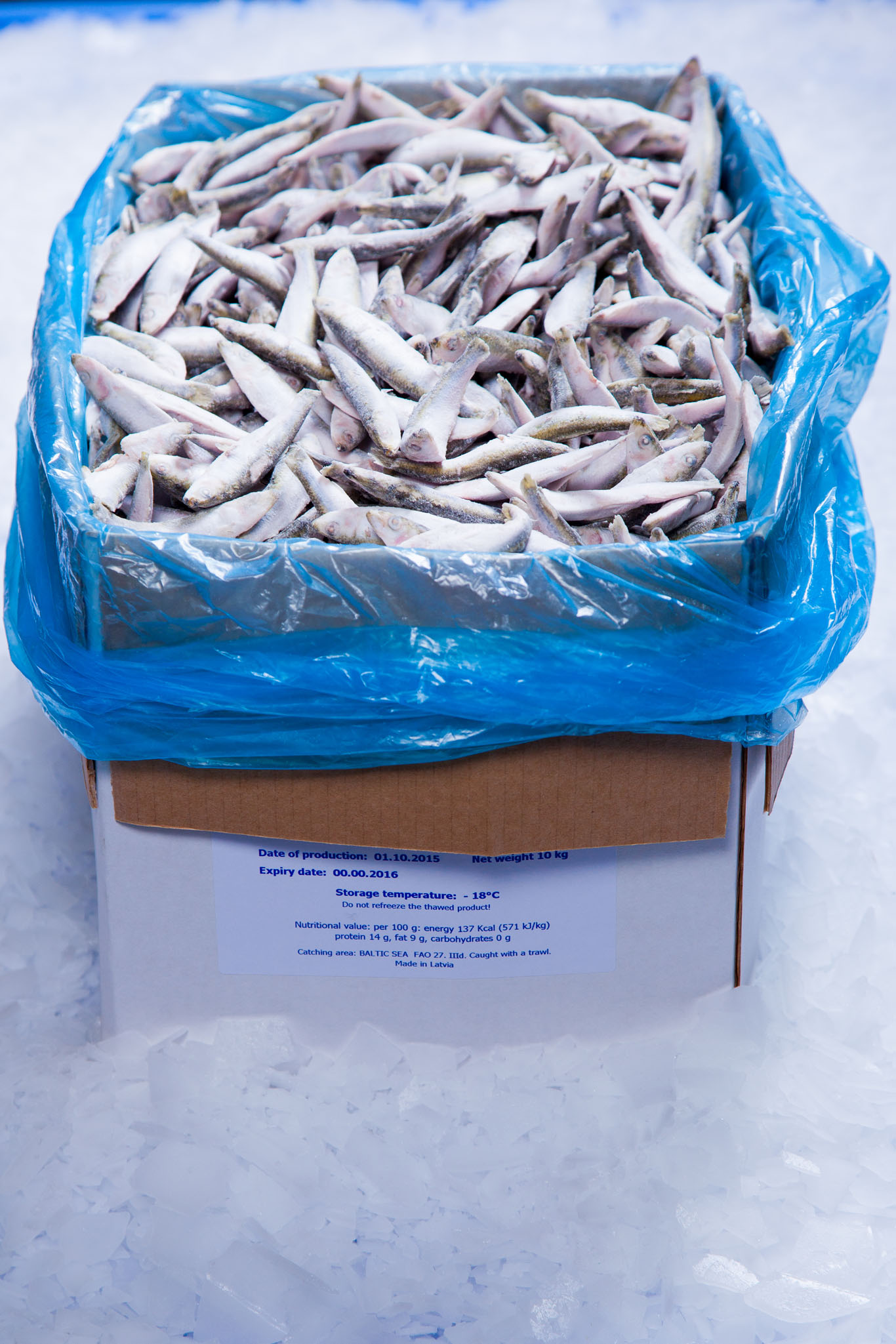 Gefrorener Fisch - BraDava